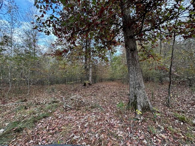 0 Highway 270 W, Home with 0 bedrooms, 0 bathrooms and null parking in Prattsville AR | Image 9