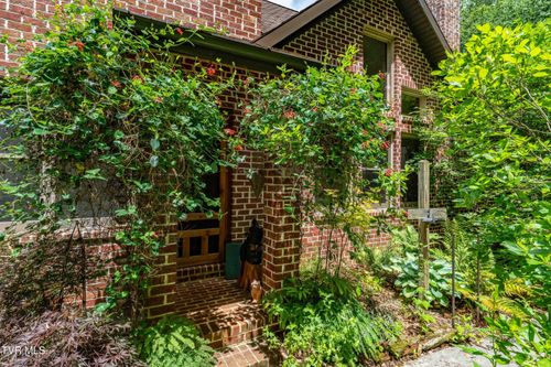 117 Toms Creek Dr, Roan Mountain, TN, 37687-3592 | Card Image