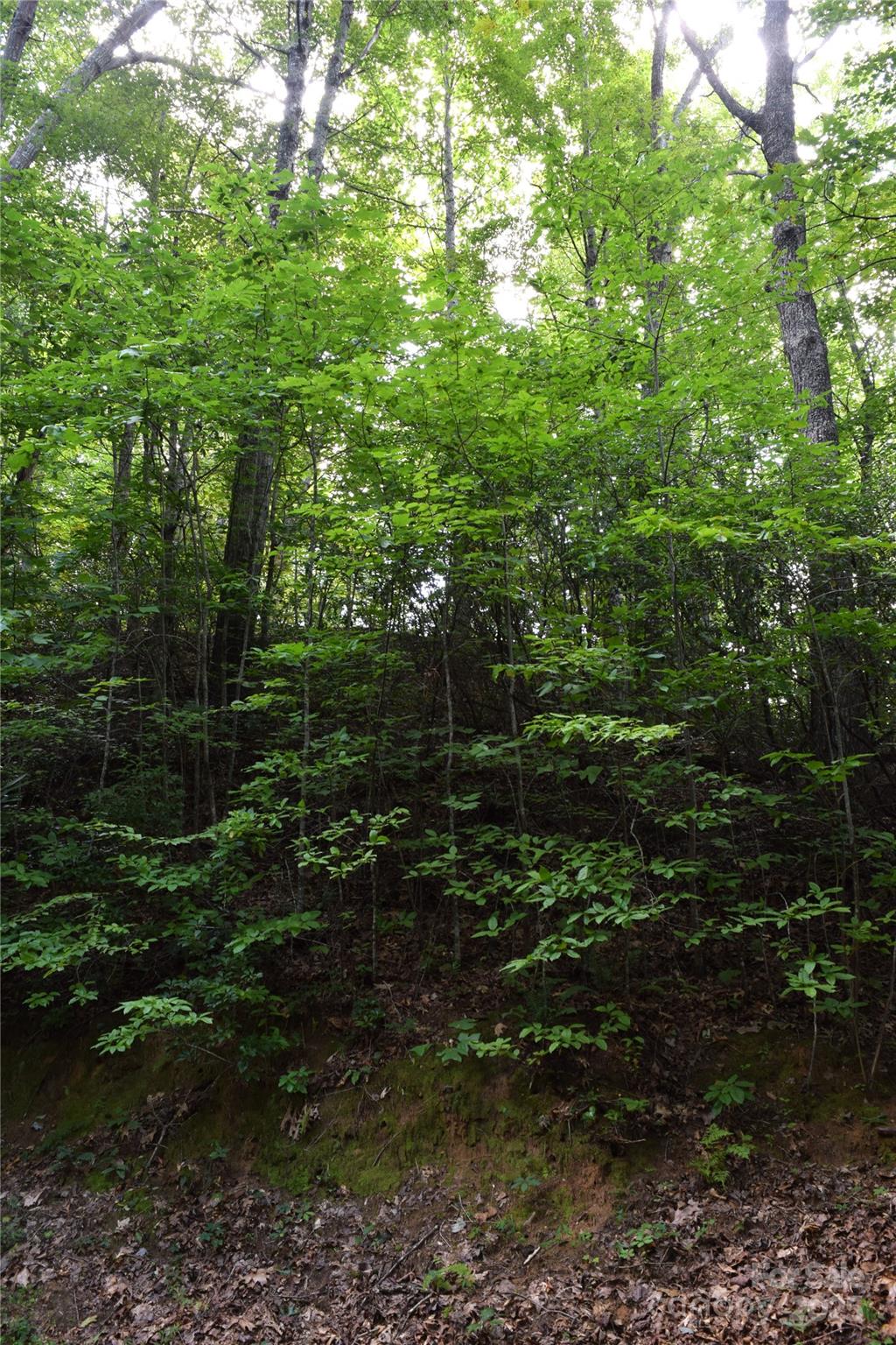 Land in Robbinsville 4