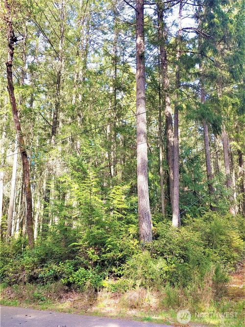 11107 122nd Avenue Ct, Anderson Island, WA, 98303-8690 | Card Image