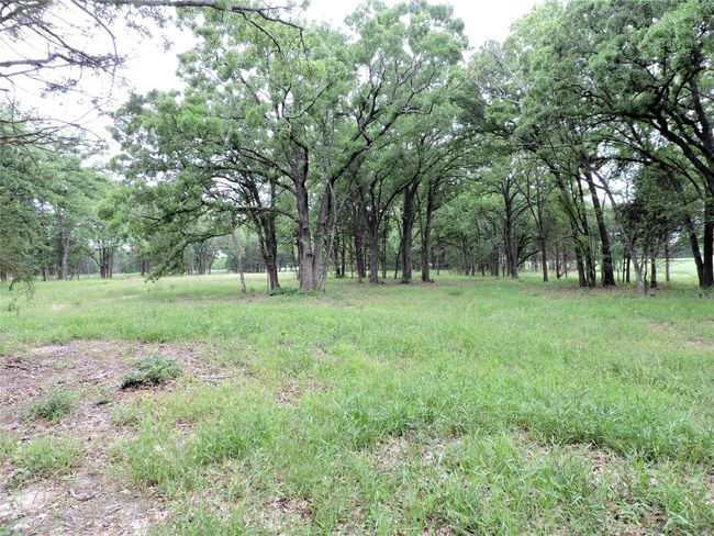 0 E Highway 175, Home with 0 bedrooms, 0 bathrooms and null parking in Mabank TX | Image 12