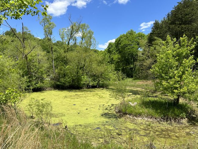 66 Thompson Hollow Rd, Home with 0 bedrooms, 0 bathrooms and null parking in Taft TN | Image 9