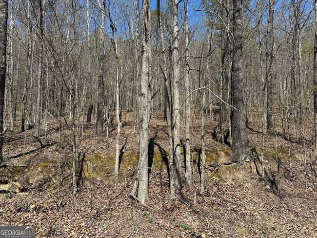 TRACT-4 - 0 Prior Station Rd, Home with 0 bedrooms, 0 bathrooms and null parking in Cedartown GA | Image 9