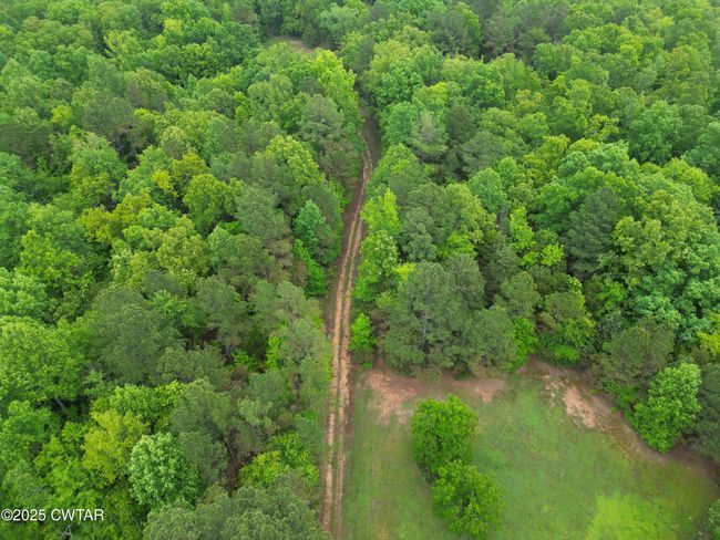 0 Buggy Branch Ln, Home with 0 bedrooms, 0 bathrooms and null parking in Cedar Grove TN | Image 16