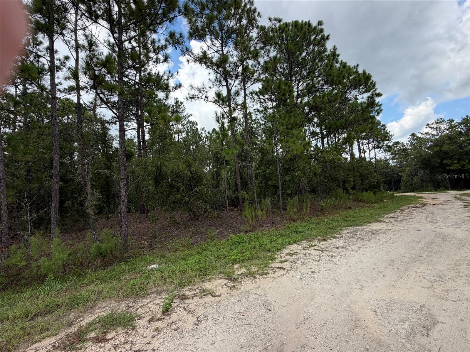 Land in OCALA 2