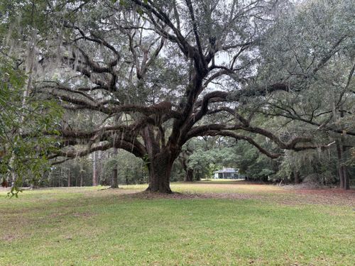 Lot 10 Plantation Ln, Walterboro, SC, 29488-4577 | Card Image