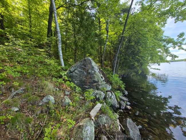 1152 Warrington Lane, Home with 0 bedrooms, 0 bathrooms and null parking in Sharbot Lake ON | Image 8
