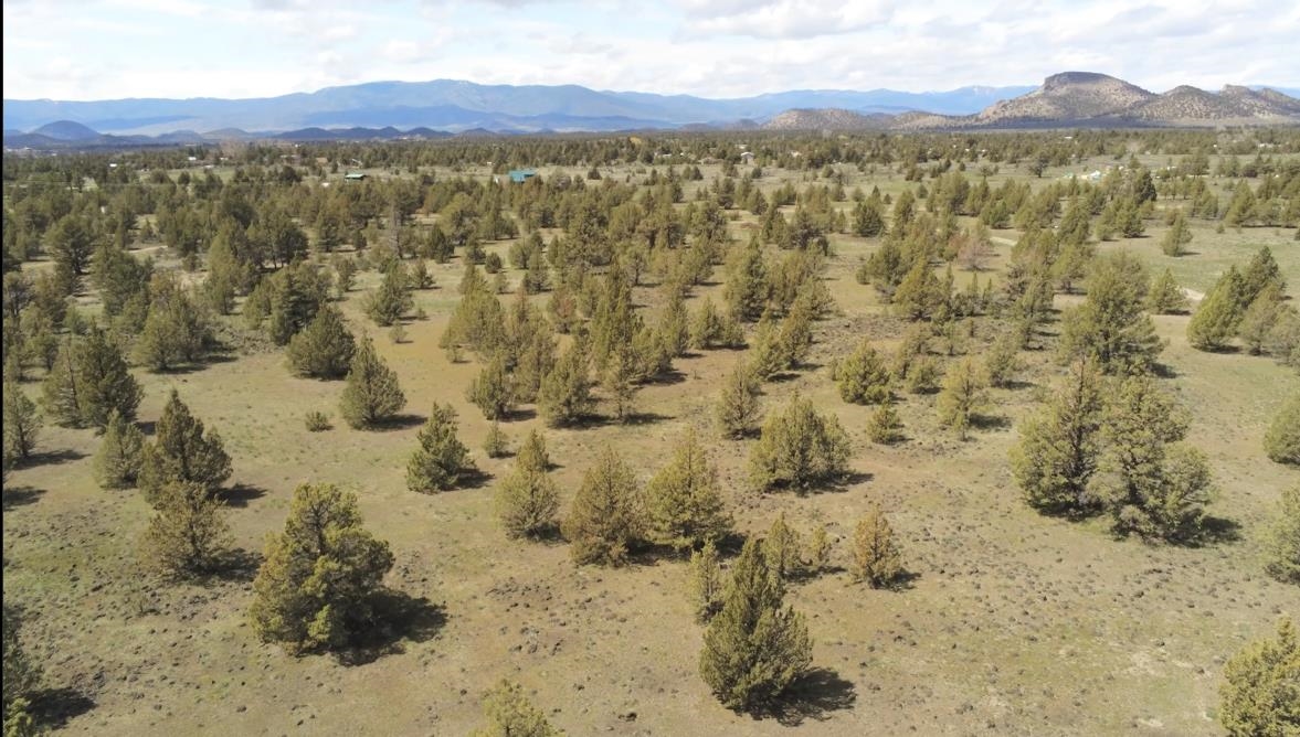 Land in Montague