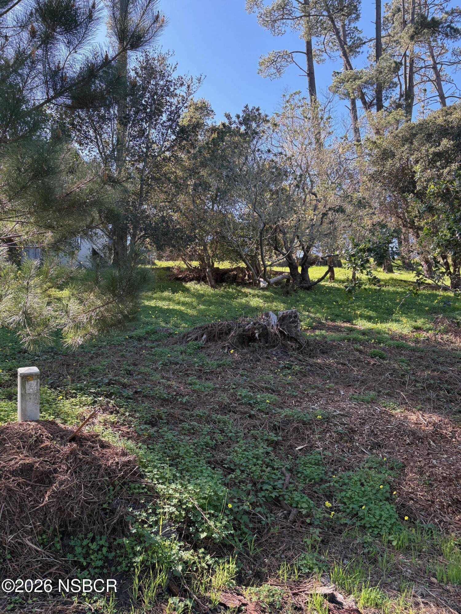Land in Cambria 2