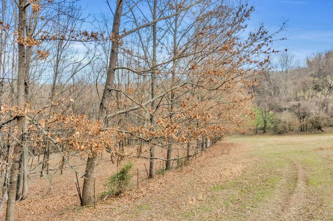 0 Fishing Ford Rd, Home with 0 bedrooms, 0 bathrooms and null parking in Belfast TN | Image 19
