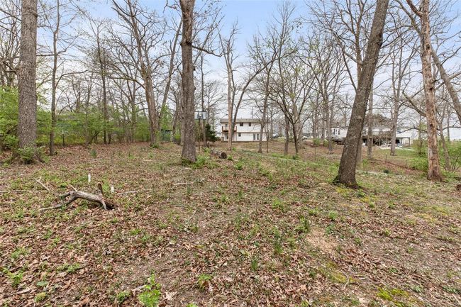 View of yard | Image 36