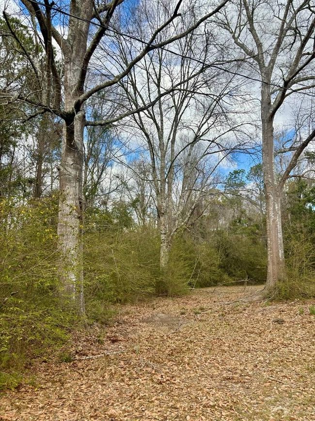 101 Will Thompson Rd, Home with 0 bedrooms, 0 bathrooms and null parking in Picayune MS | Image 19