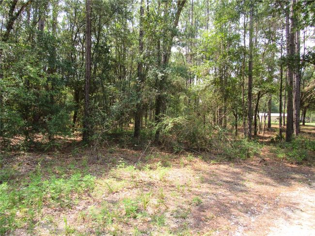 1.33 Acre Acres--New Construction or Mobile/Manufacture/Modular Homes. Create Your Own Amazing Setting on This Property! | Image 5