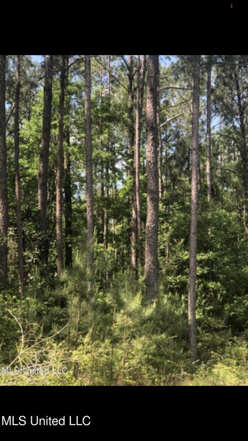 No Shaw Dr, Waynesboro, MS, 39367 | Card Image