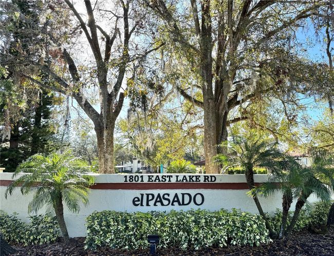 El Pasado | Image 4