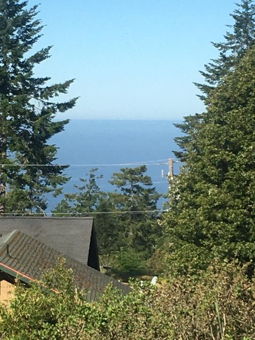 161 Parkview Rd, Whitethorn, CA, 95589-9075 | Card Image