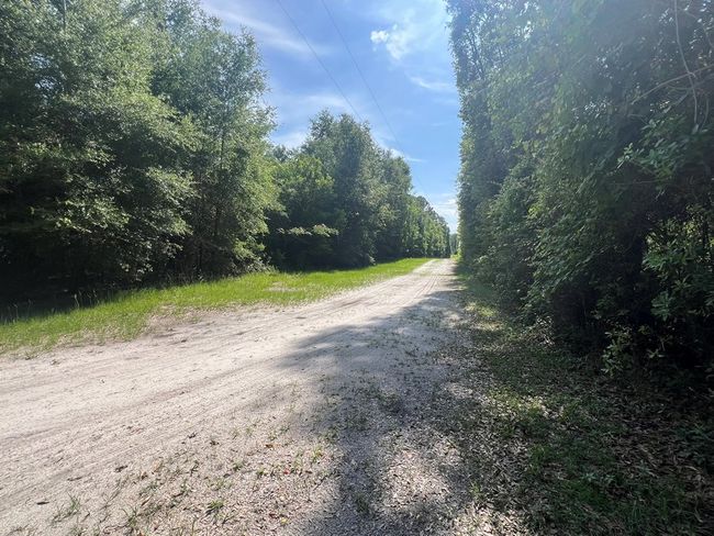 Lot 1 Old Wire Rd, Home with 0 bedrooms, 0 bathrooms and null parking in FORT WHITE FL | Image 9