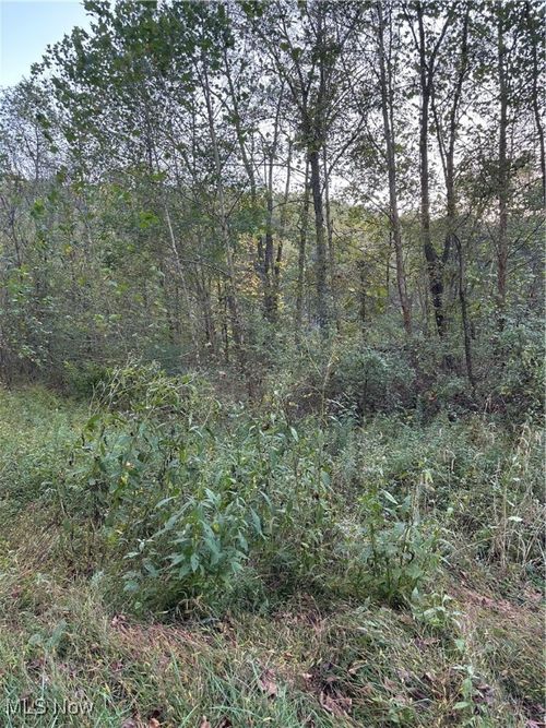 0 Lickskillet Rd, Woodsfield, OH, 43793 | Card Image