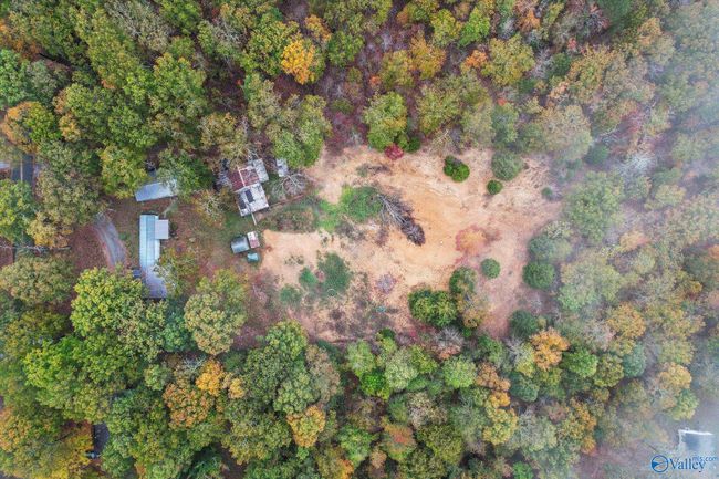 195 Laurel Ln, House other with 3 bedrooms, 2 bathrooms and null parking in Gurley AL | Image 4