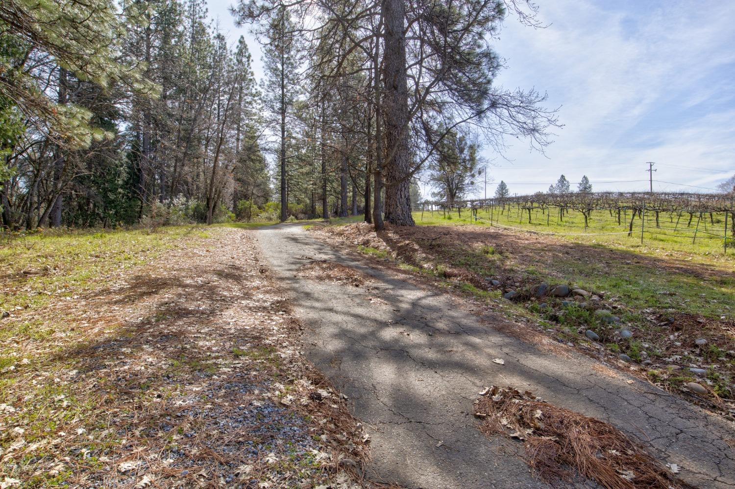 Residential in Placerville 5
