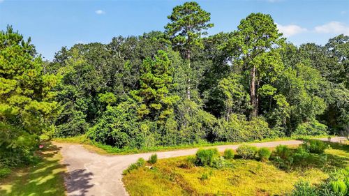 Tract 136 Garden W, Conroe, TX, 77304 | Card Image