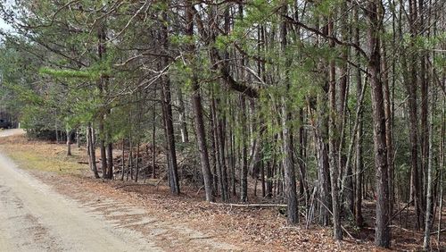 Lot 25 Pine Log Circle, Warne, NC, 28909 | Card Image