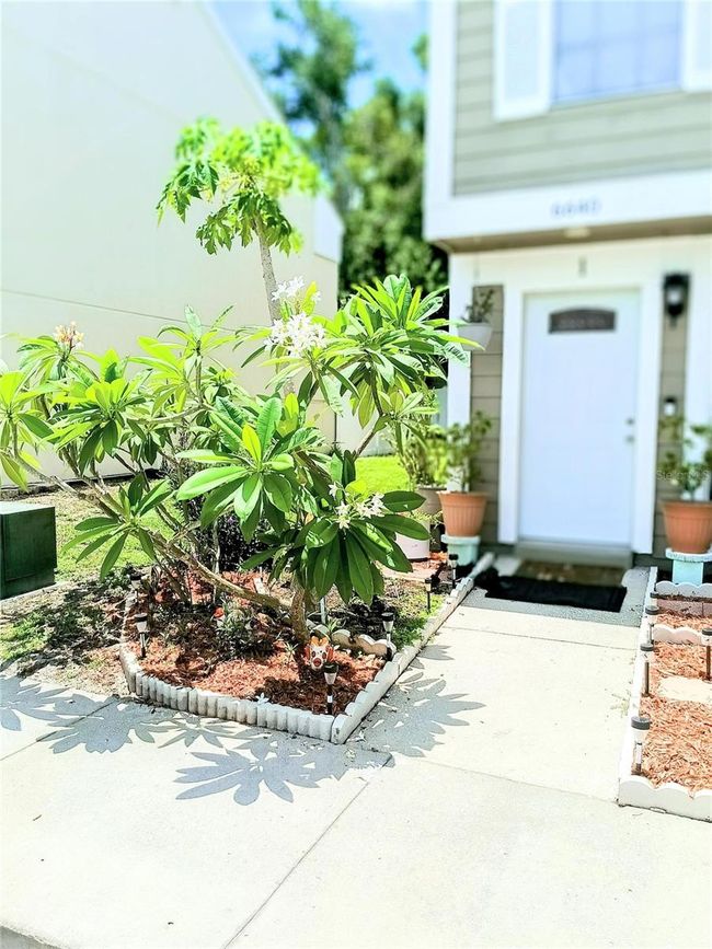 APT-1 - 6640 121 St Ave, House other with 2 bedrooms, 2 bathrooms and null parking in LARGO FL | Image 26