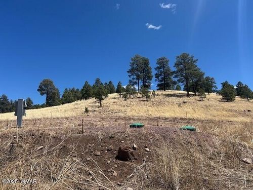 6 County Road 2331, Alpine, AZ, 85920 | Card Image