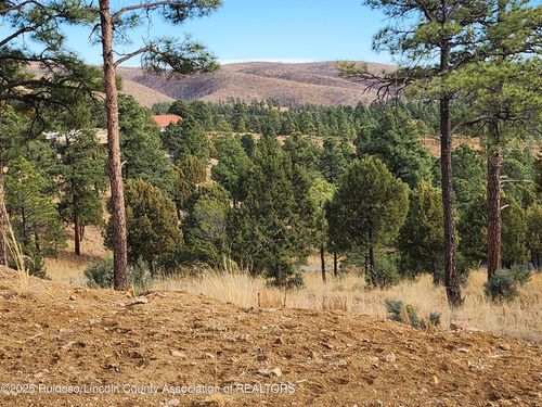 143 Charles Mcclellan Dr, Ruidoso, NM, 88345-5525 | Card Image