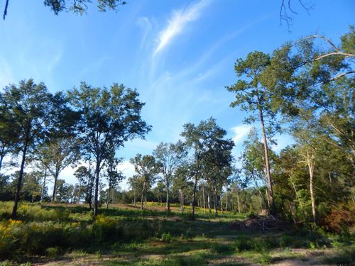 TBD 7.57 ACRES Hwy 259, Ore City, TX, 75683 | Card Image