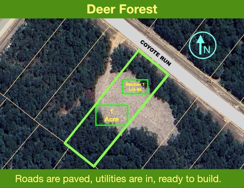 54 Coyote Run, New Waverly, TX, 77358 | Card Image