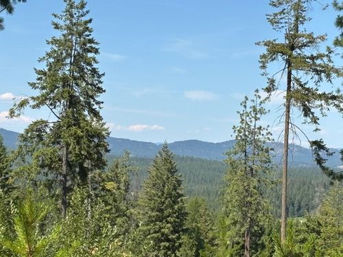 34711 N Waldrons Ln, Chattaroy, WA, 99003-7784 | Card Image