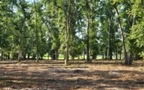 TBD 48th St, Live Oak, FL, 32060 | Card Image