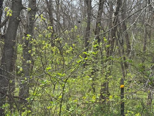 tbd Nw 900* Road, Warrensburg, MO, 64093 | Card Image