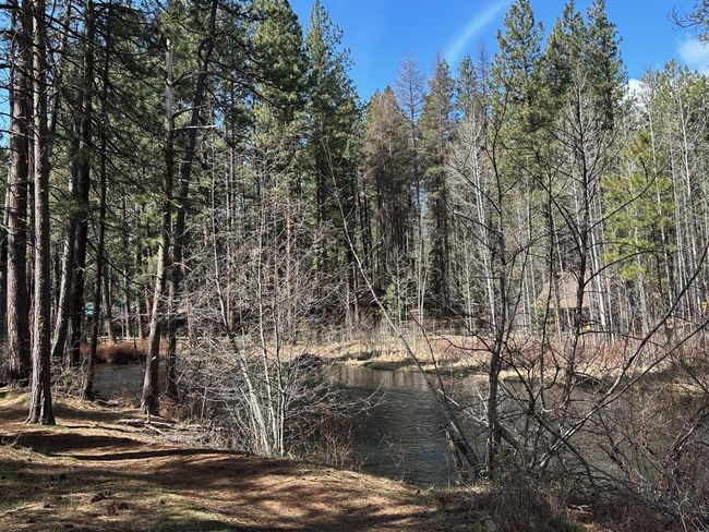 Upstream View | Image 27