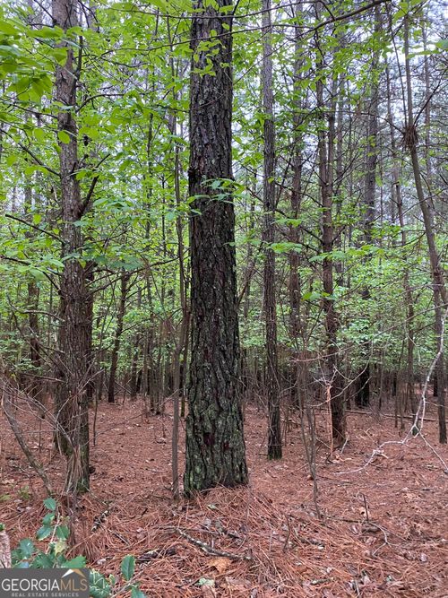 0 Mull Dr, Mineral Bluff, GA, 30559 | Card Image