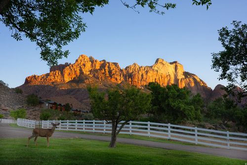 2428 Zion Park Blvd, Springdale, UT, 84767 | Card Image