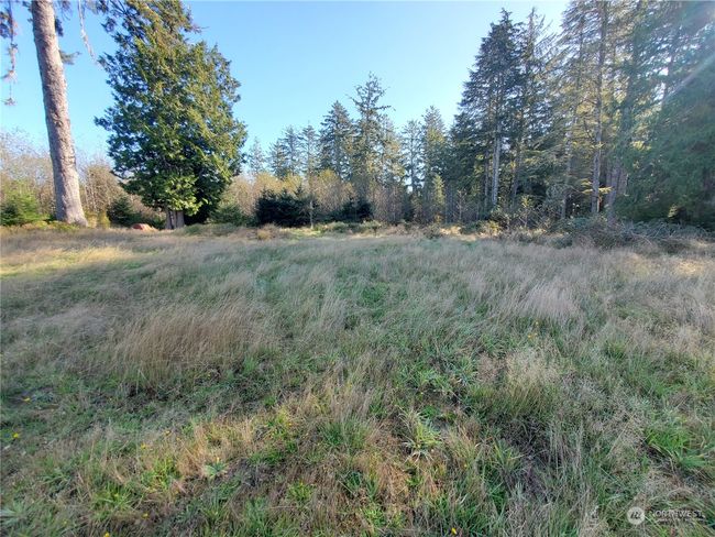 36602 Stackpole Rd, Home with 0 bedrooms, 0 bathrooms and null parking in Oysterville WA | Image 19