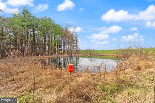 38956 Rickard Rd, House other with 3 bedrooms, 3 bathrooms and null parking in LOVETTSVILLE VA | Image 68