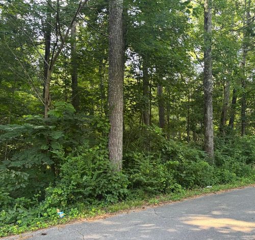 00 Tony Ave, Russellville, AL, 35653 | Card Image