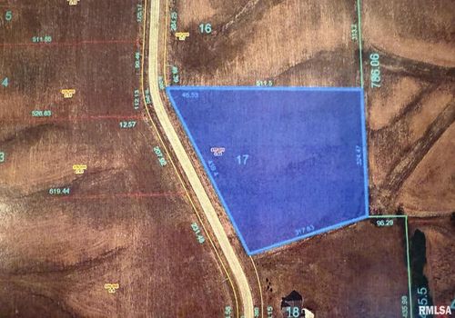 2321 Olof Krans Ave, Galva, IL, 61434-1185 | Card Image