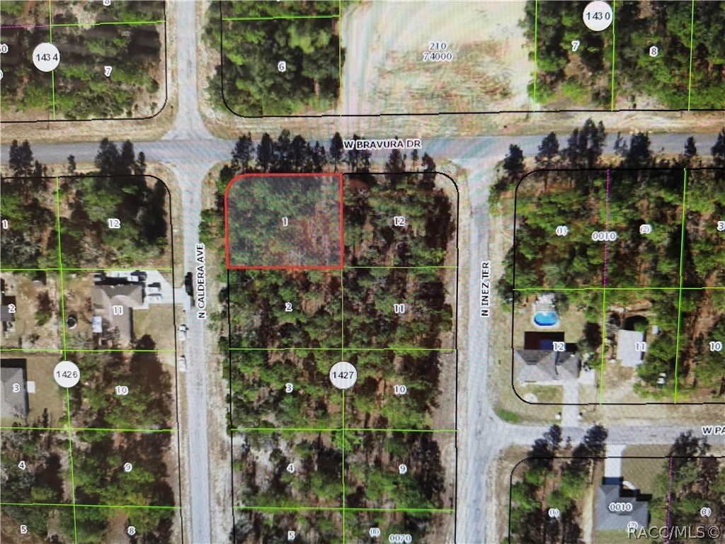 Land in Dunnellon 2