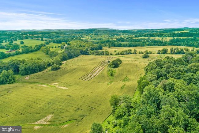 8160 Frogtown Rd, Home with 0 bedrooms, 0 bathrooms and null parking in MARSHALL VA | Image 13