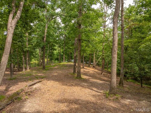 463 Foxfire Crossing Dr, Innsbrook, MO, 63390-6397 | Card Image