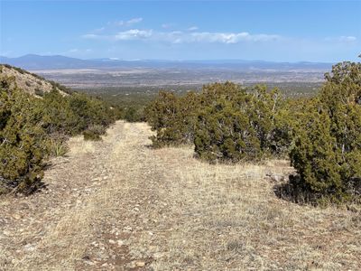 155 Cedar Mountain, Home with 0 bedrooms, 0 bathrooms and null parking in Cerrillos NM | Image 1