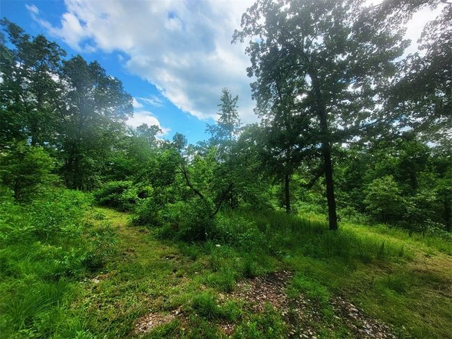 305 Spirit Dr, House other with 4 bedrooms, 3 bathrooms and null parking in Saint Joe AR | Image 26