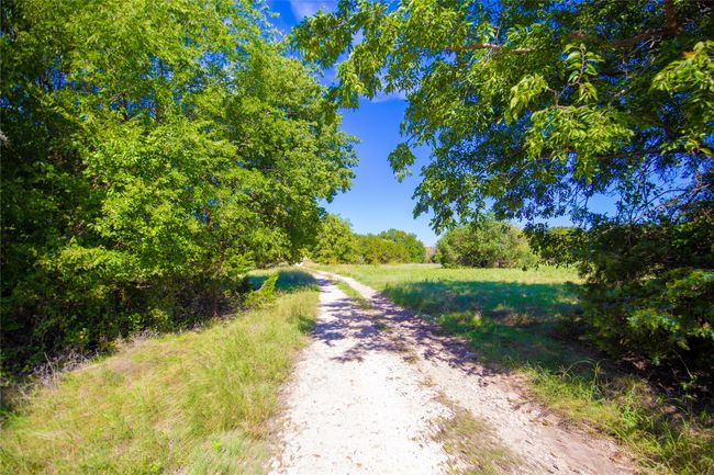 View of road | Image 31