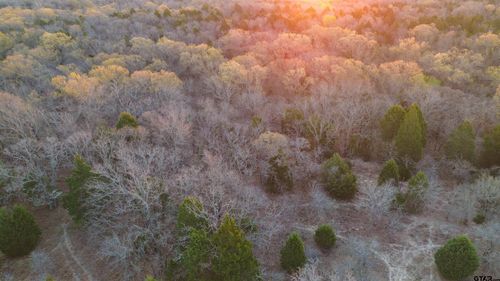 Tract 2 000 Cr 1500, Athens, TX, 75751 | Card Image