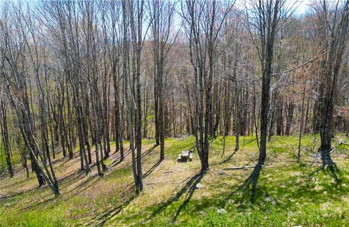 Lot 86 Featherwood Trail, Banner Elk, NC, 28604 | Card Image