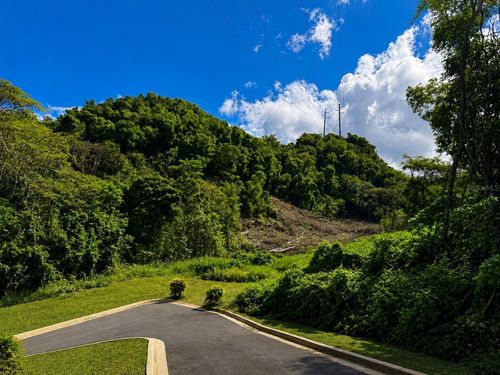 1 Pr-686 Km 1.2 Interior, Manati, PR, 00674 | Card Image